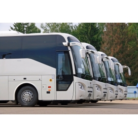 Автобусы 45-50 мест